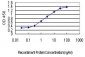 YY1 Antibody (monoclonal) (M05)